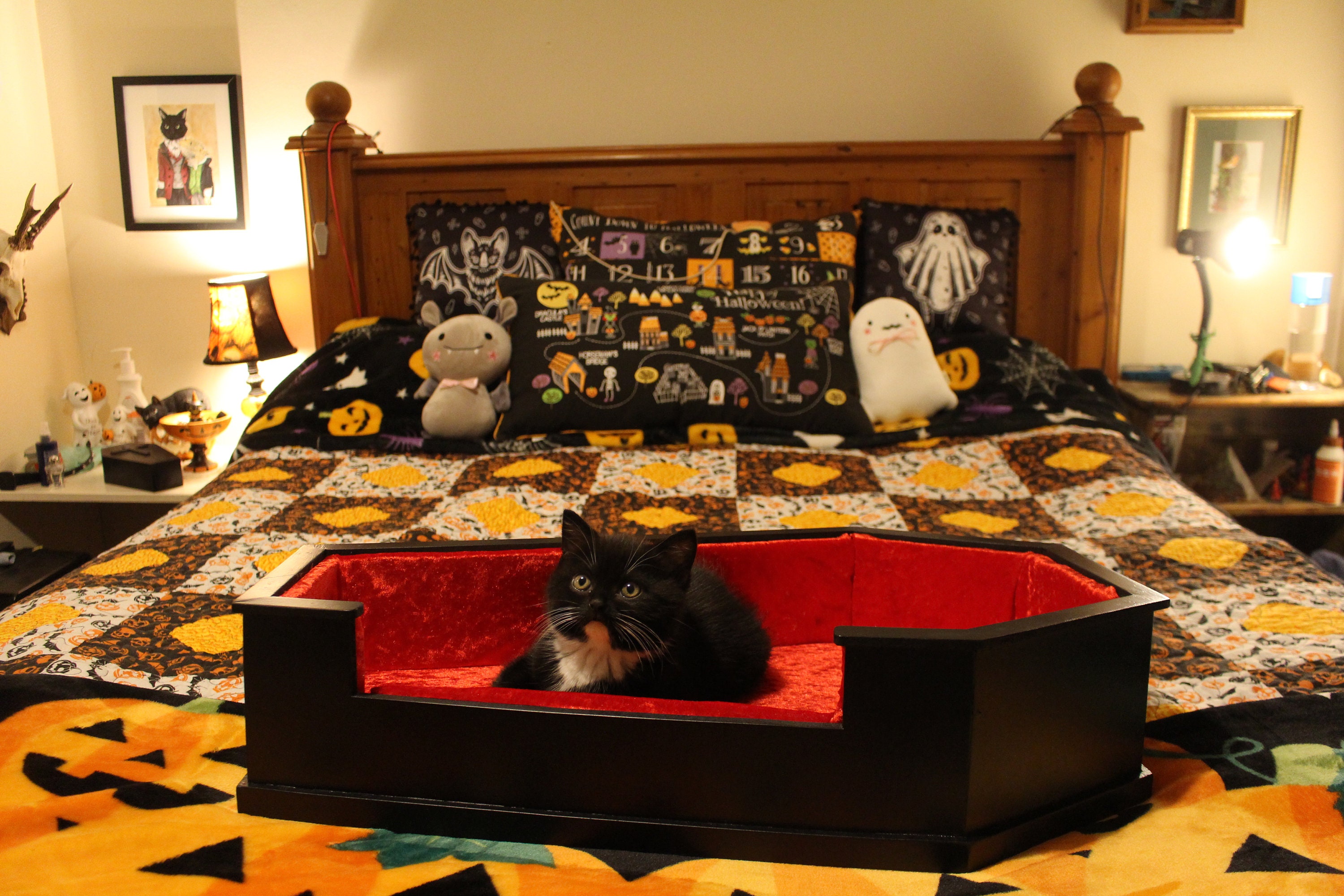 Velvet Lined Coffin Shaped Pet Bed Etsy