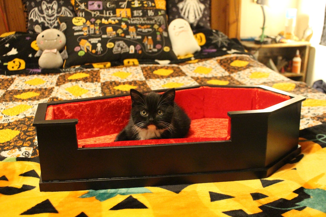 Buy Velvet Lined Coffin Shaped Pet Bed Online in India Etsy