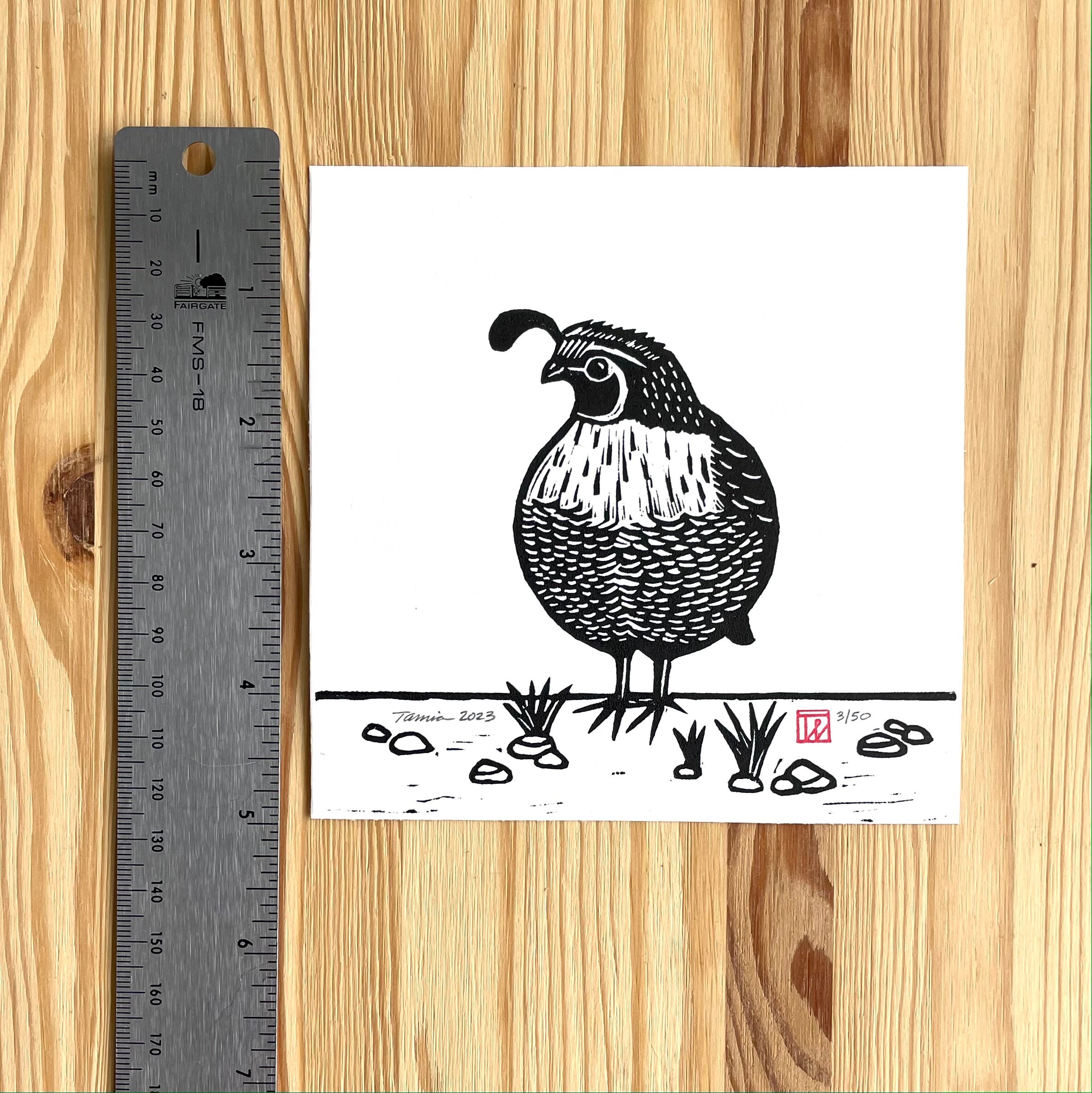 Quail Art Round Quail Quail Linocut Black and White Quail Etsy