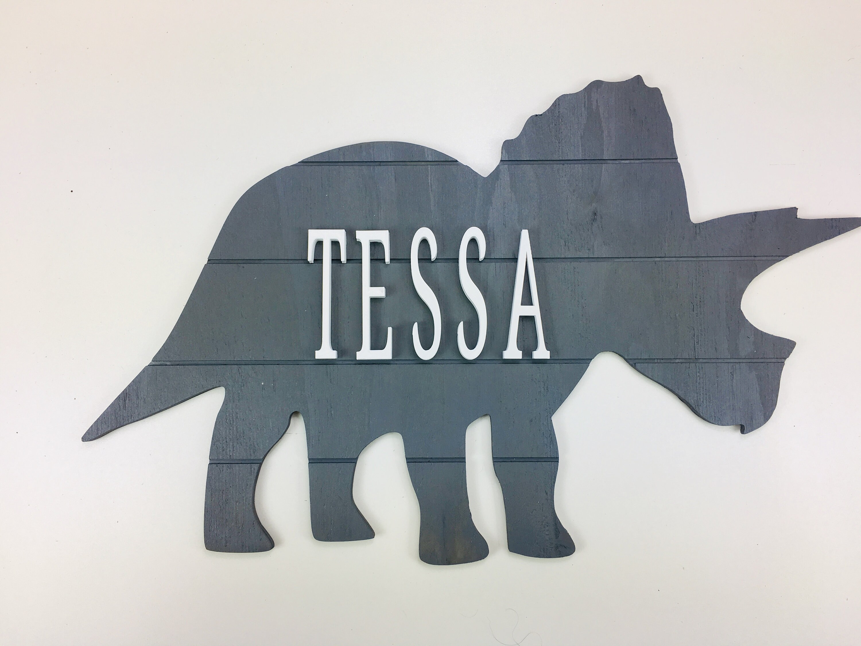 Dinosaur Decor Dinosaur Wall Art Dinosaur Nursery Wall Etsy