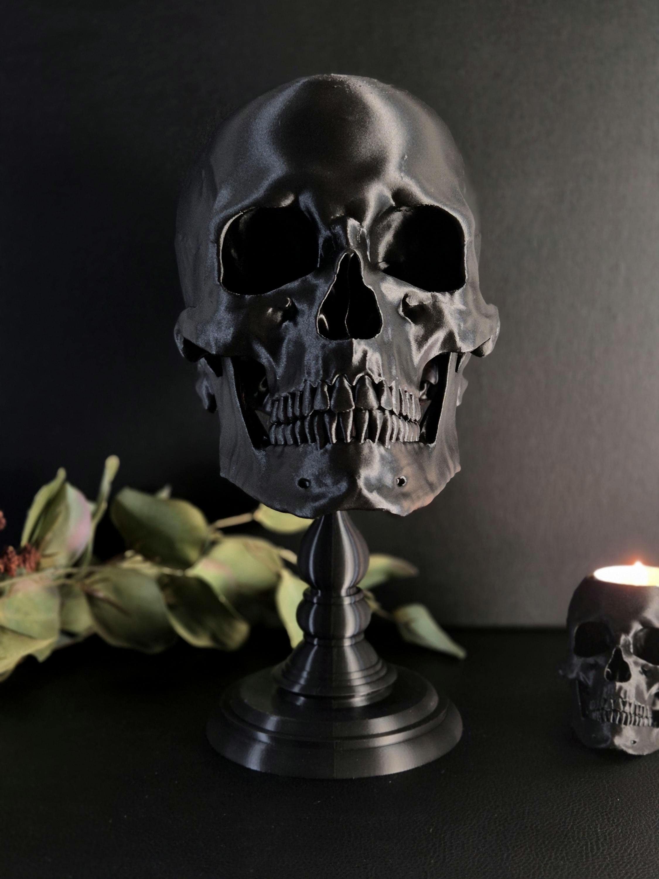 新品】SKULLS / Victionary スカル 頭蓋骨 新品】SKULLS Art in Bone