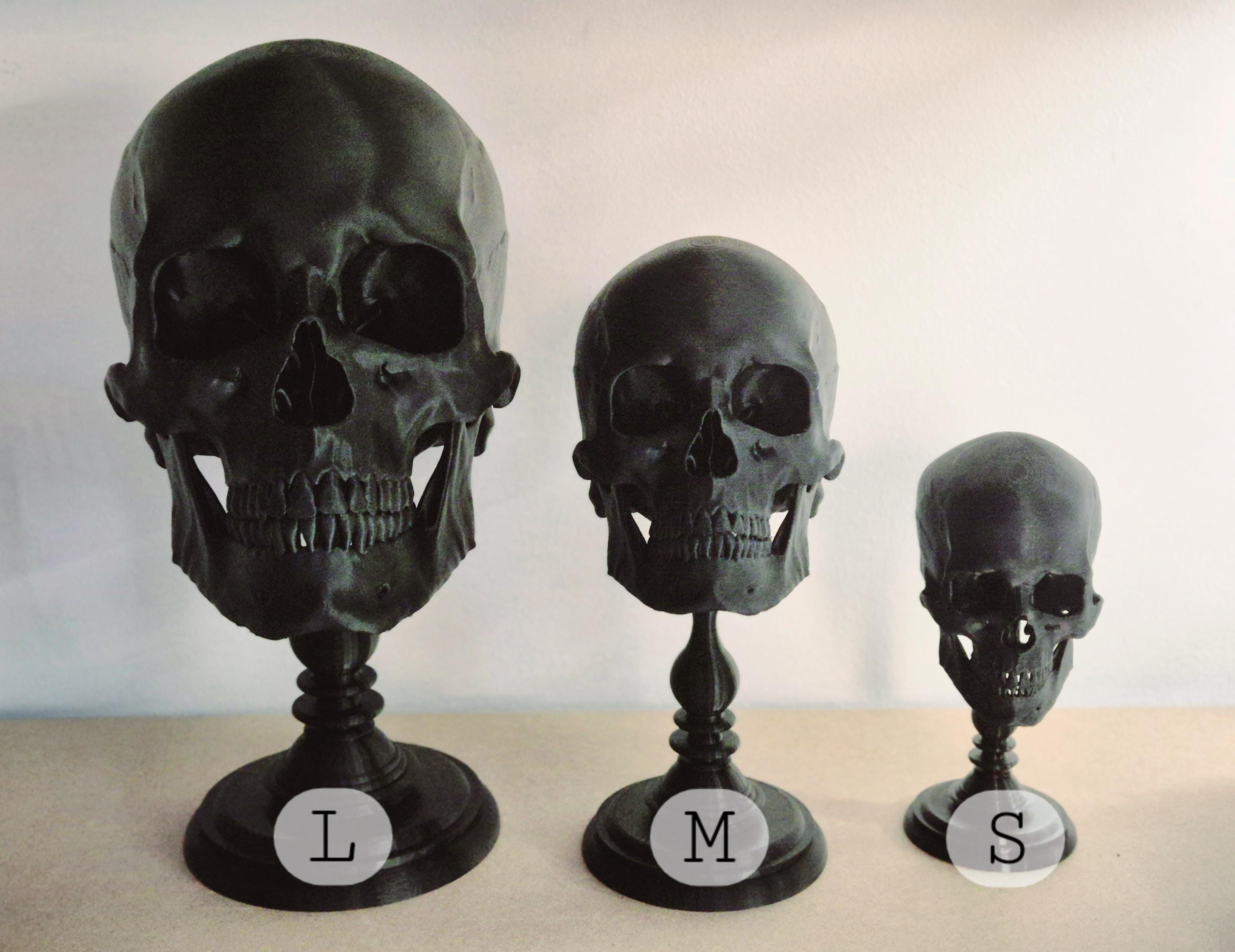 Realistic Human Skull, Skull Replica with Detachable Plinth, 3D-PRINTED