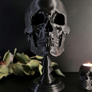 Realistic Human Skull, Skull Replica with Detachable Plinth, 3D-PRINTED