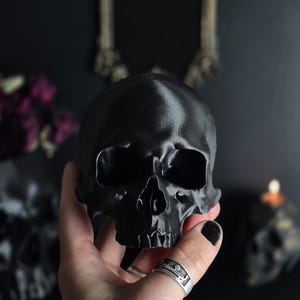Realistic Human Skull, Skull Replica with Detachable Plinth, 3D-PRINTED