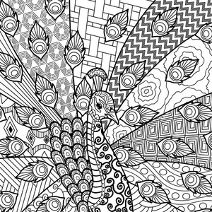 20 Beautiful Zen Coloring Pages/Digital/Instant Download