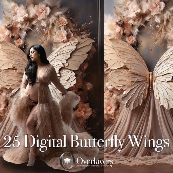 25x Maternity Backdrop Overlays, Butterfly Wings & Fine Art Textures, Digital Photoshop Backgrounds, Baby Shower Gift