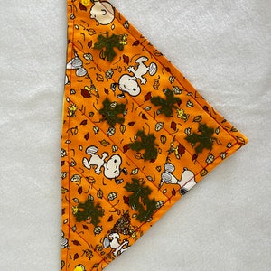 Peut inclure: Un bandana triangulaire en tissu orange avec une bordure rouge et un motif répété de personnages de Peanuts et de feuilles d'automne. Le bandana a des feuilles de feutre vert cousues dessus.