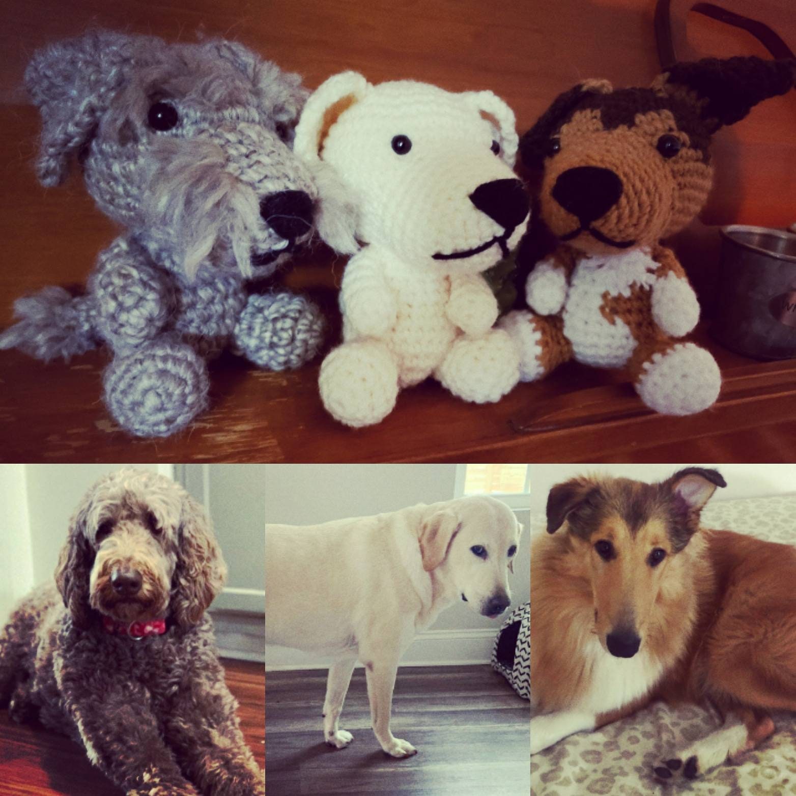 Set of Three LARGE Custom Crochet Dog Etsy