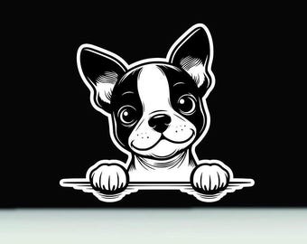 Boston Terrier Peeking Vinyl Sticker | Boston Terrier Sticker | Boston Terrier Vinyl Decal | Boston Terrier printed vinyl decal