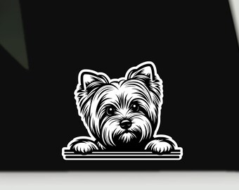 Puede incluir: Adhesivo en blanco y negro con un perro Yorkshire Terrier. Se ven la cabeza y las patas del perro, con pelaje detallado y una expresión amigable. Diseñado para aplicar en la ventana de un coche u otra superficie.