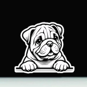 Bulldog Peeking Vinyl Sticker | Bulldogbumper Sticker | Bulldog Vinyl Decal | Bulldog printed vinyl decal