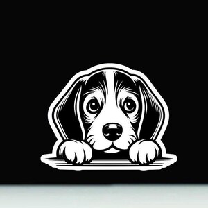 Beagle späht Vinyl Aufkleber | Beagle Hund Aufkleber | Beagle Vinyl Aufkleber | Beagle Hund Autoaufkleber
