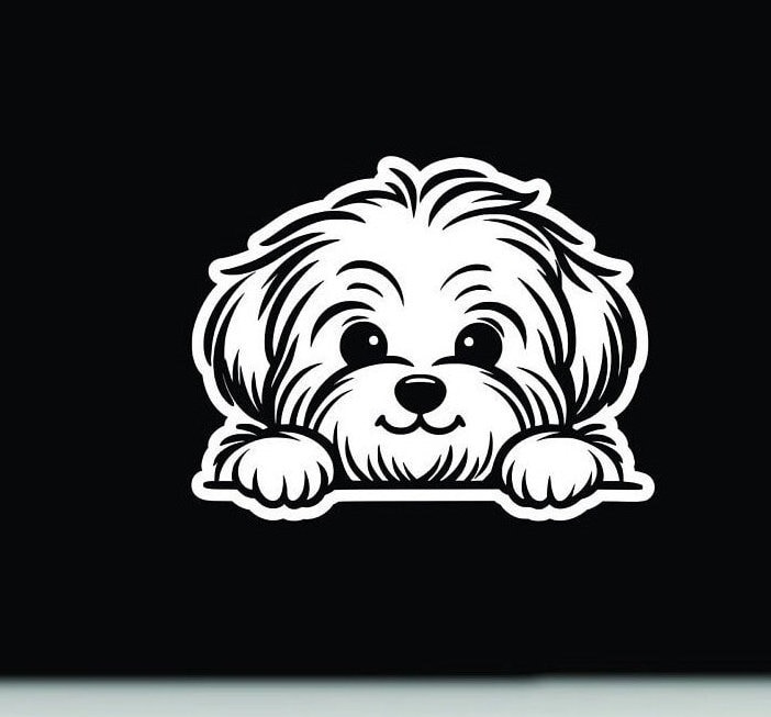 Havapoo Sticker Havanese Peeking Vinyl Decal | Havanese Dog Sticker | Havanese Vinyl ...