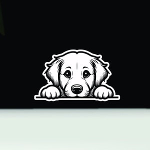 Golden retriever peeking vinyl decal | Golden retriever bumper sticker | Golden retriever car sticker | Golden Retriever decal