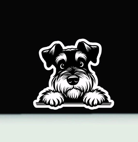 シュナウザーが覗いているビニールデカール｜シュナウザー犬ステッカー