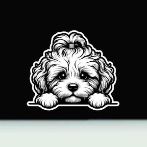 Cavapoo Peeking Vinyl Sticker | Cavapoo Dog bumper Sticker | Cavapoo Vinyl Decal | Cavapoo Decal | Cavapoo Dog Bumper Sticker  |