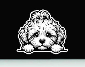 Cavapoo Peeking Vinyl Sticker | Cavapoo Dog bumper Sticker | Cavapoo Vinyl Decal | Cavapoo Decal | Cavapoo Dog Bumper Sticker  |