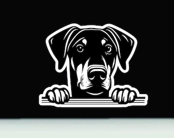 Doberman dog vinyl decal sticker  | Doberman peeking window decal | Doberman vinyl decal | Doberman car sticker | Doberman