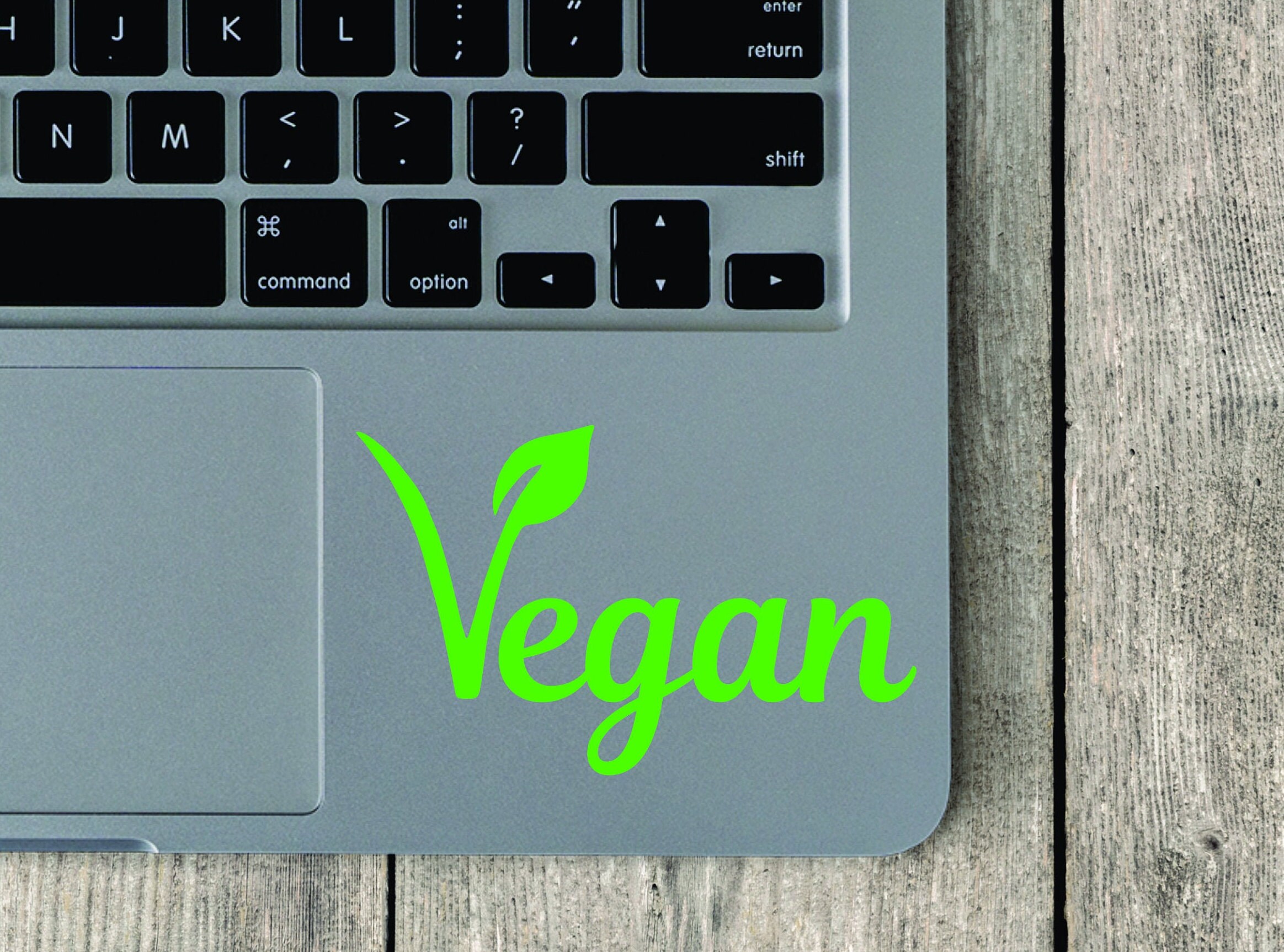 Vegan Vinyl Decal Vegan Sticker Vegan Bumper Sticker Etsy