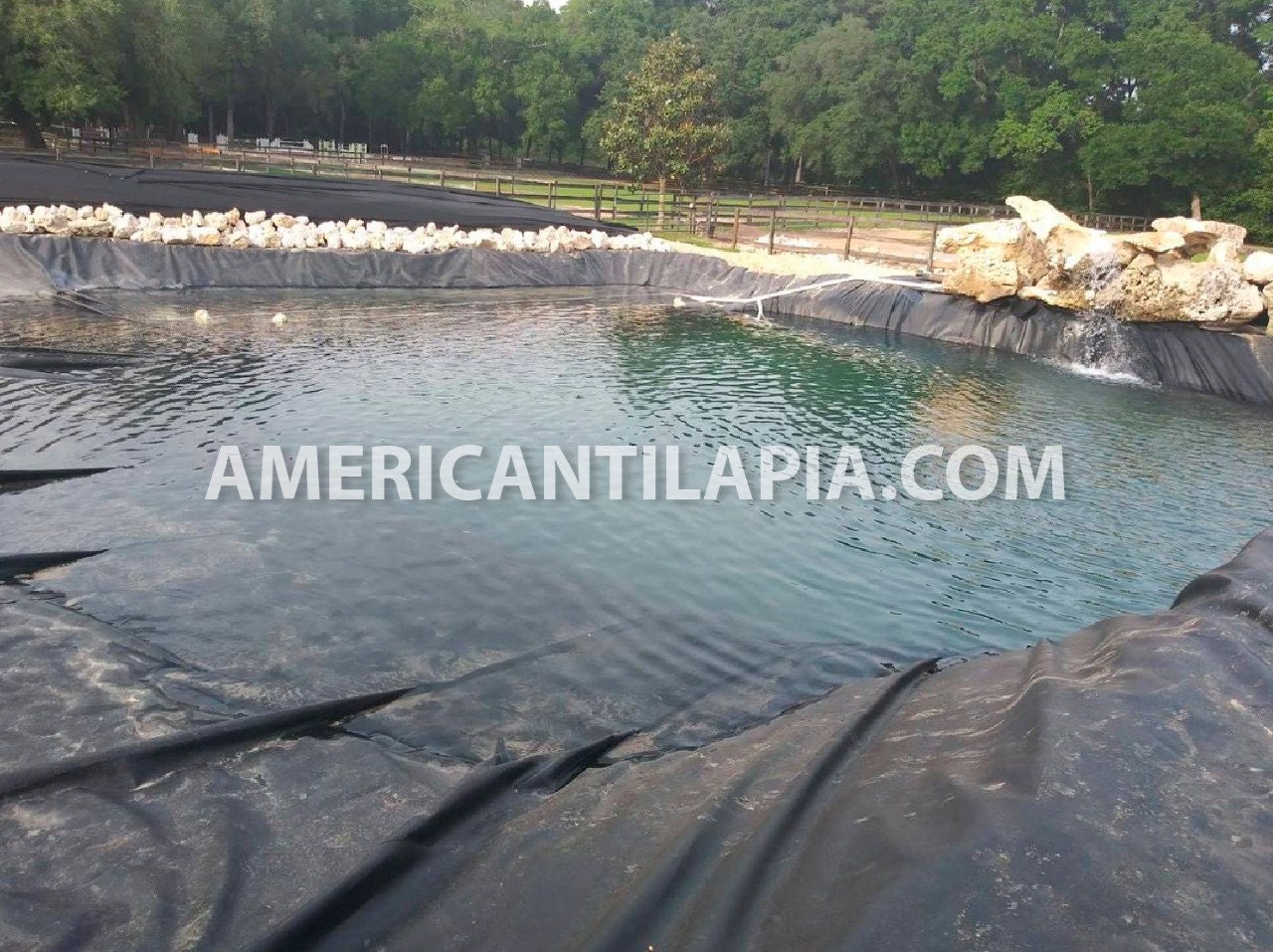 Flexiliner 30m x 16m 15yr Pond Liner : - the leading UK pond supplies specialist