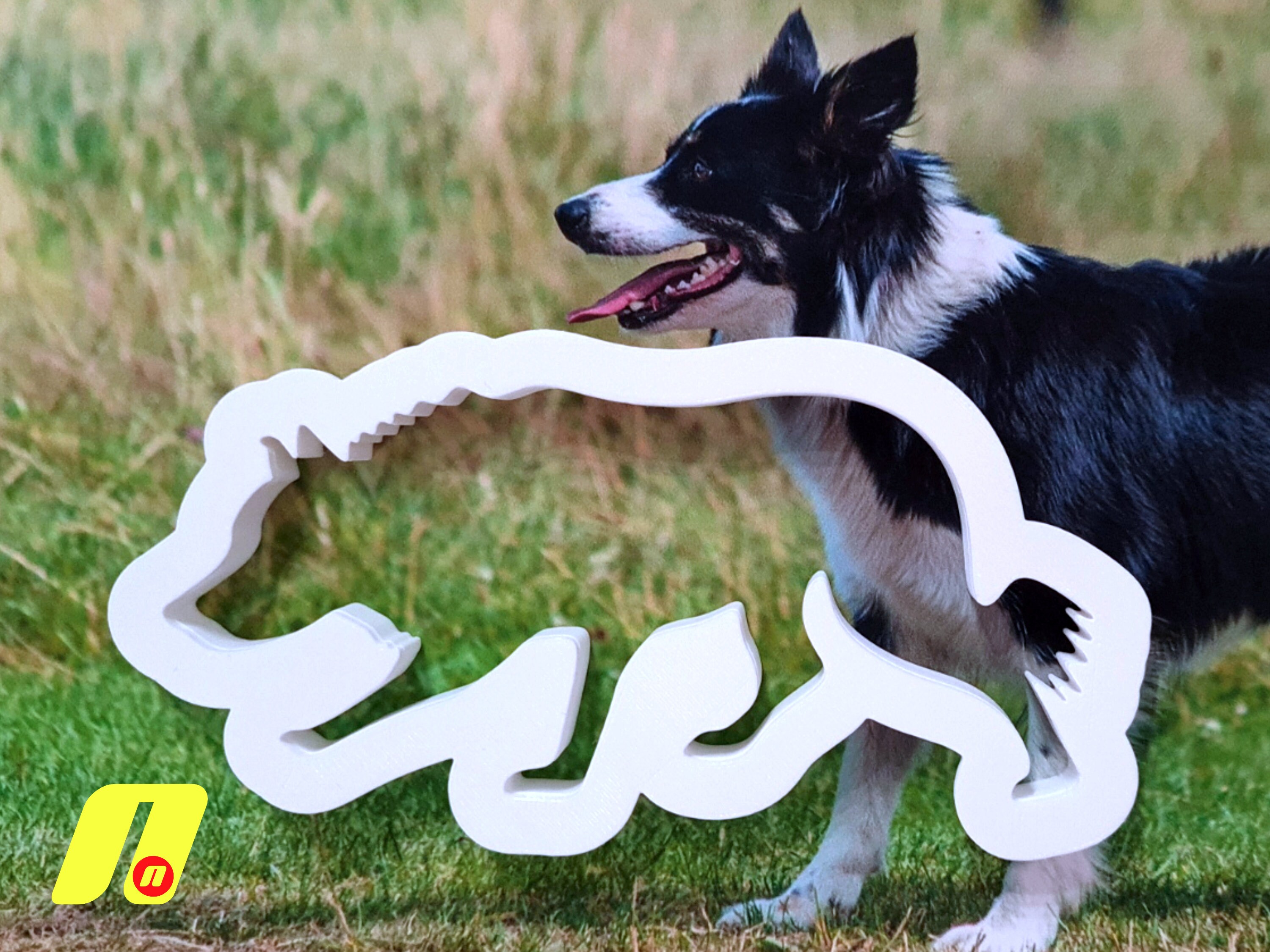 fondant border collie