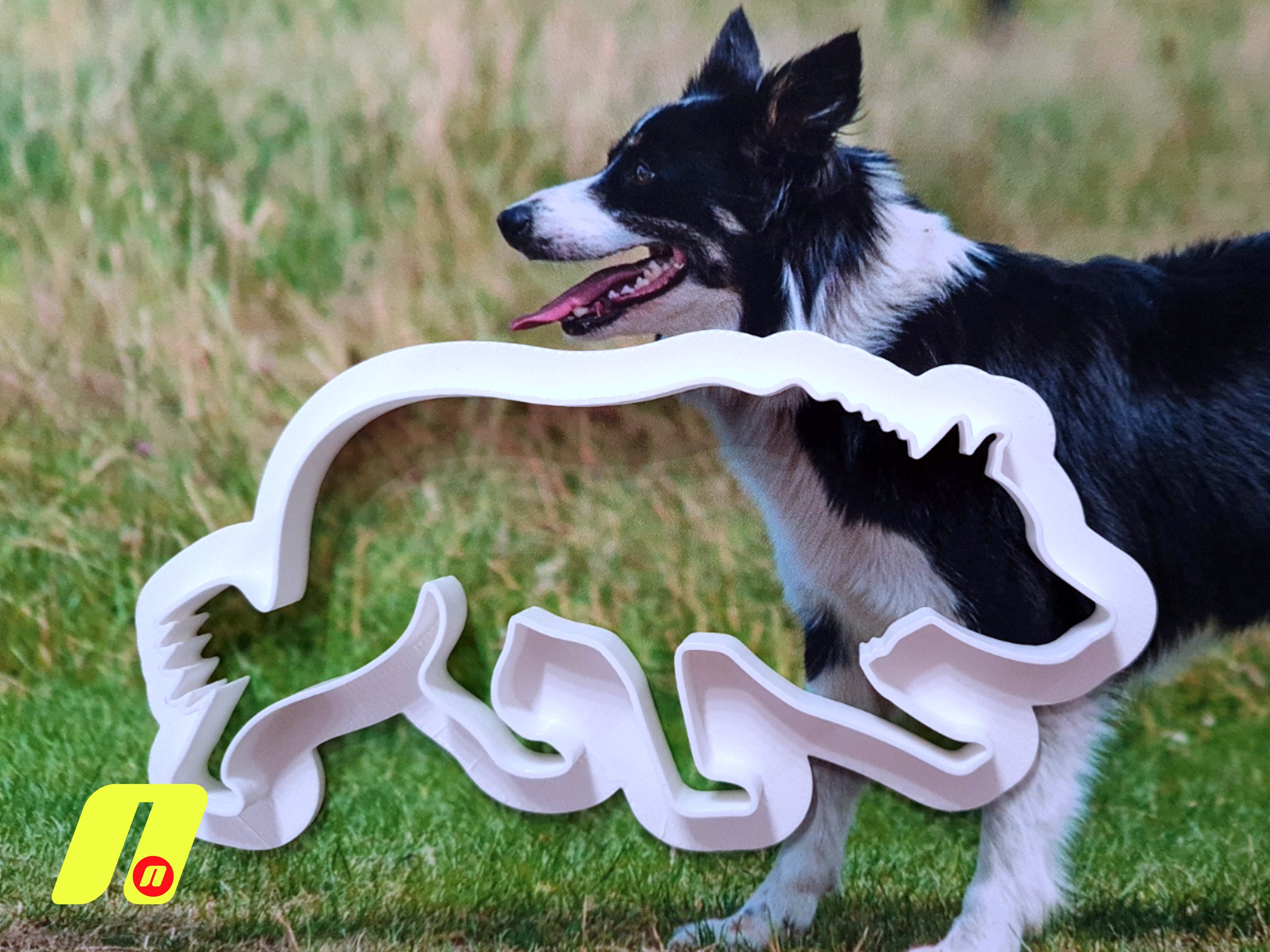 Failed sheepdogs for best sale sale