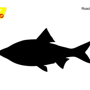 May include: A black silhouette of a fish, possibly a roach, on a white background. The word "Roach" is in the upper right, with a yellow and red logo in the upper left corner.