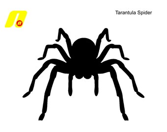 3D Printed Tarantula Spider Fridge Magnet: Unique 3D printed duel-use cake decoration and lasting keepsake