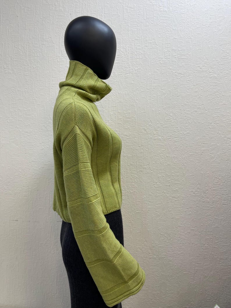 May include: A lime green turtleneck sweater with ribbed detailing. The sweater has long sleeves and a cropped fit. The mannequin is wearing a dark gray skirt. The sweater is made of a soft, knitted material.