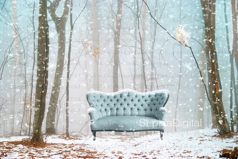 Maternity landscape Winter Digital backdrop Family digital background christmas winter #78Composite photography