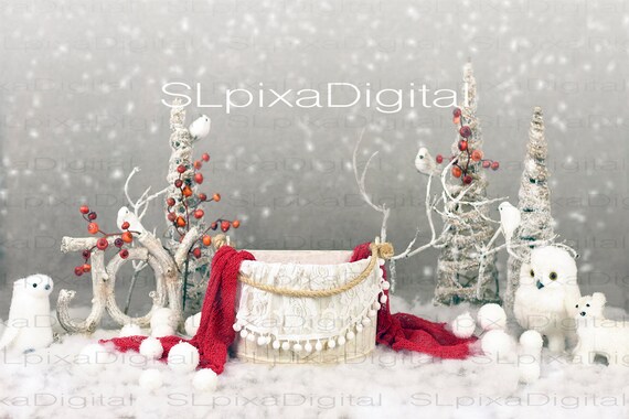 Digital Background Digital Backdrop Newborn Christmas Winter | Etsy
