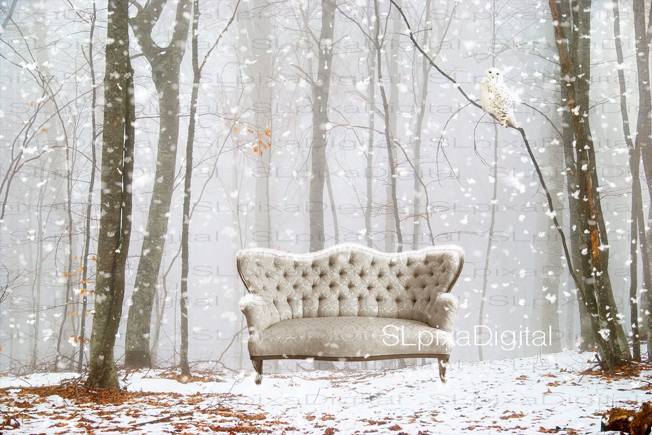 Maternity Winter Digital backdrop Family digital background | Etsy