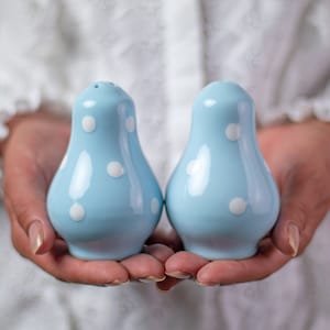 Salt and Pepper Shakers, Ceramic Cruet Set, Handmade Pottery, Sky Blue and White Polka dot Pots, Country Cottage Style, Housewarming Gift