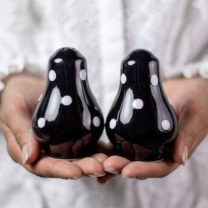 May include: A pair of black ceramic salt and pepper shakers with white polka dots.