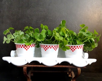 Support à vaisselle émaillée vintage pour produits de blanchisserie ou pots d'herbes aromatiques