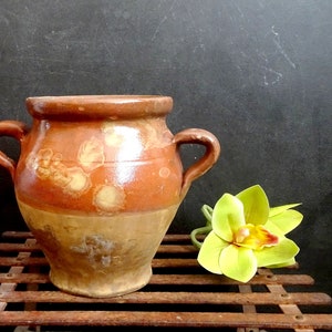 May include: A brown earthenware pot with two handles and a decorative design of leaves and dots. The pot is sitting on a rusty metal rack with a green orchid flower in the foreground.
