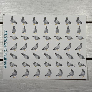 Pigeon Stickers, Pigeon, Bird, birds, Pigeons