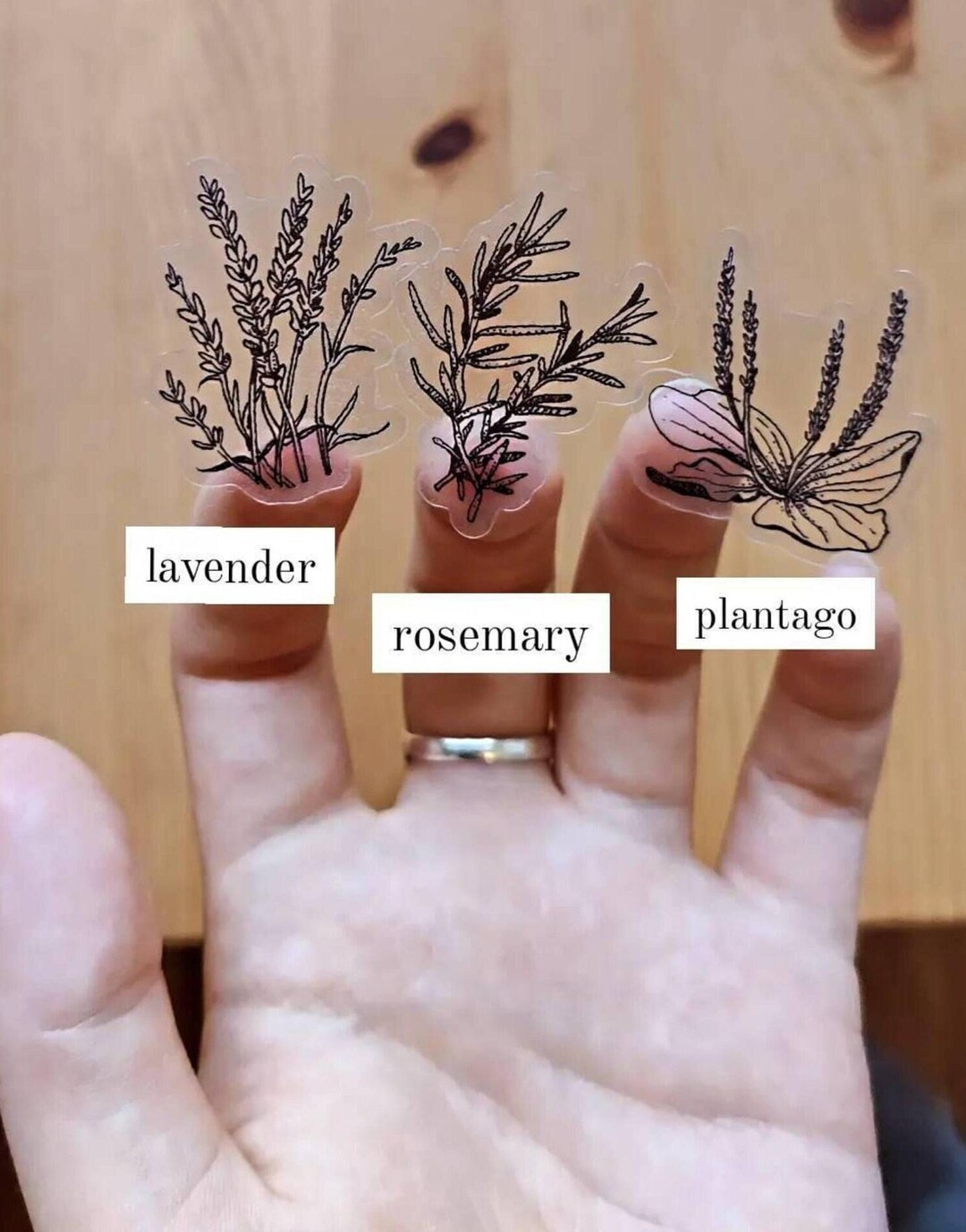 Rosemary Sticker Clear Herb Sticker Set: Lavender, Rosemary, Plantain - Etsy