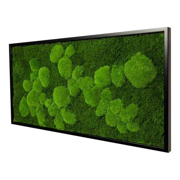 Moss image with preserved spherical and flat mosses