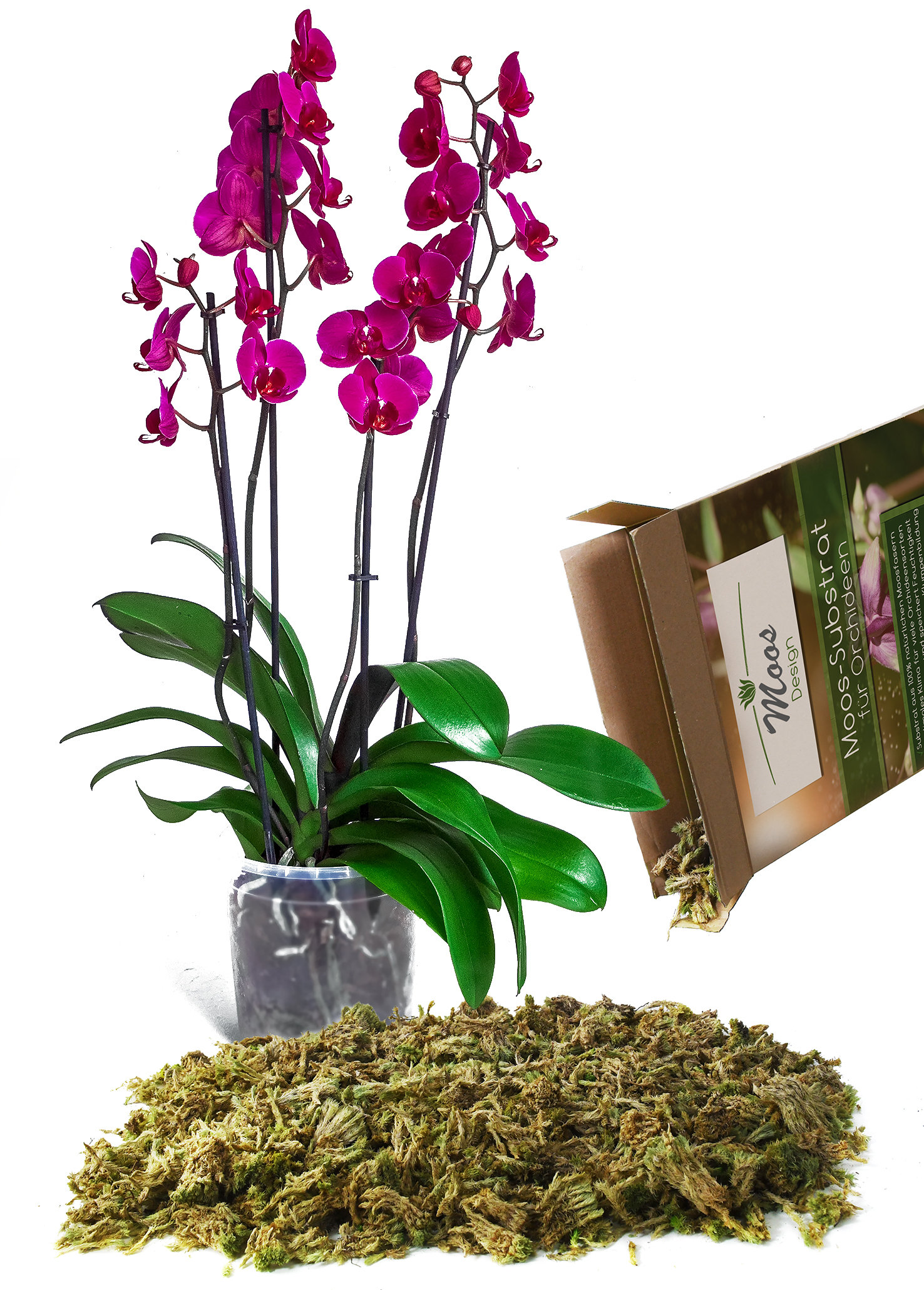 Sphaigne vivantes fibre - Sac de 5 Litres - Substrat orchidée et