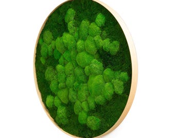 Round moss picture Fifty Fifty Design (flat moss with ball moss)
