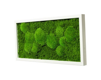 Round Moss Picture Fifty Fifty Design (flat Moss With Ball Moss
