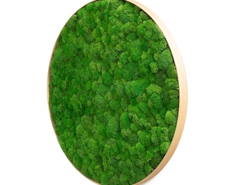 Round moss picture Wave Design (bale moss)