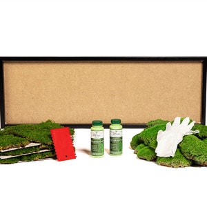DIY moss picture with ball moss and forest moss wood frame black