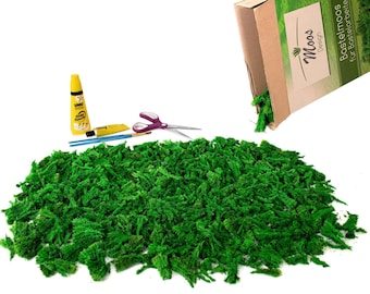 Craft moss for handicrafts (spring green)