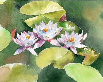 Lotus WATERCOLOR FLOWERS as gift, Water liles