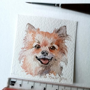 Ritratto su commissione di un animale di affezione, micro acquerello originale del cane