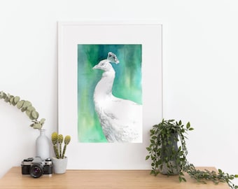 White Peacock Watercolor Painting: Abstract Bird Art, Italian Artist (19 x 27 cm)