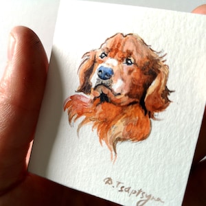 Ritratto su commissione di un animale di affezione, micro acquerello originale del cane