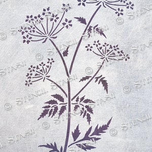 Può includere: Un design a stencil con un'illustrazione botanica stilizzata di una pianta con delicati grappoli di fiori a forma di ombrello e foglie dettagliate. Il design è in una tonalità viola scuro su uno sfondo grigio chiaro strutturato.